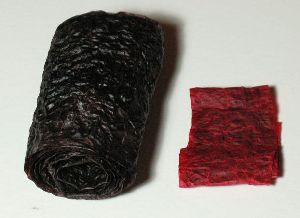 Dyed Seal Gut