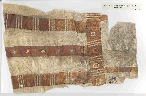 Fishskin & Gut Clothing Remnant