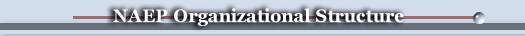 NAEP Organizational Structure